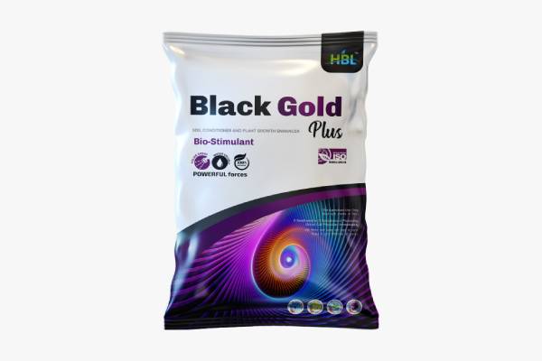 Black Gold Plus