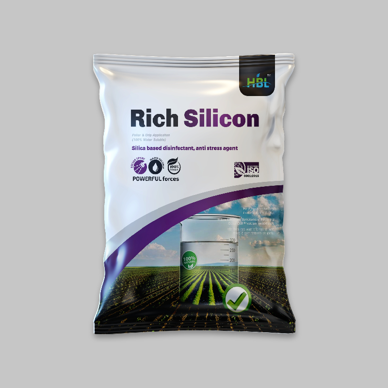 Rich Silicon