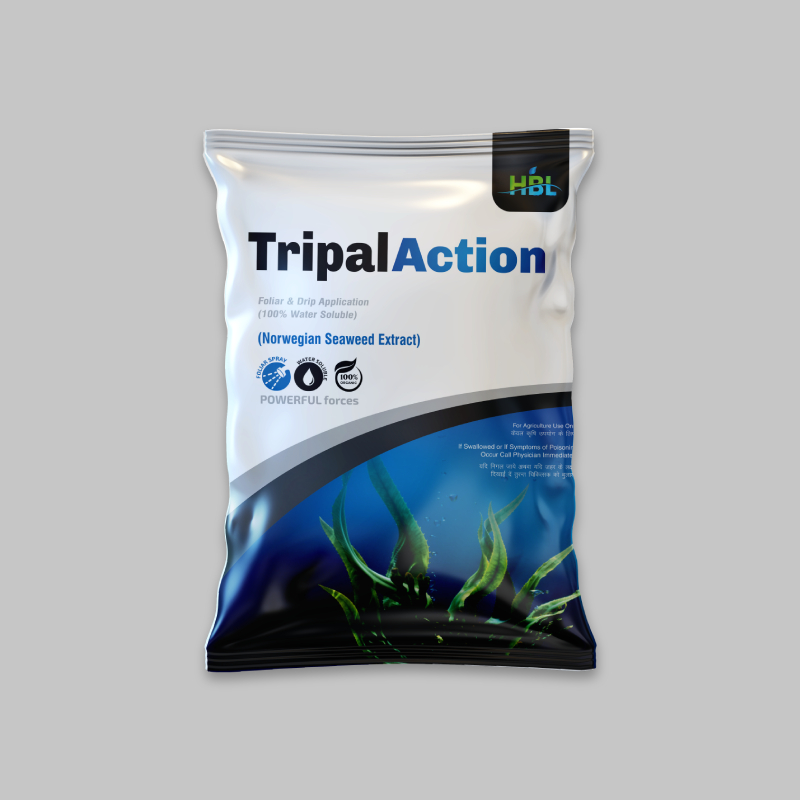 Tripal Action